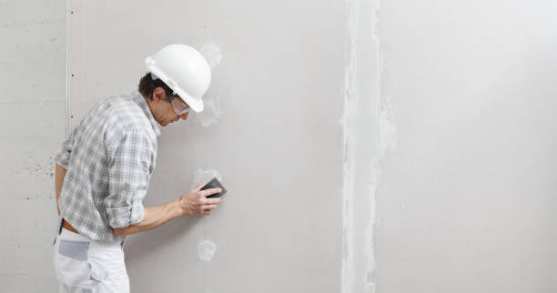 Best Airborne Mold Testing  in Henderson, GA